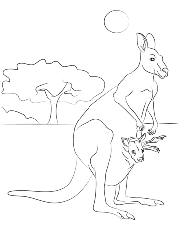 Red Kangaroo With Baby  Coloring Page